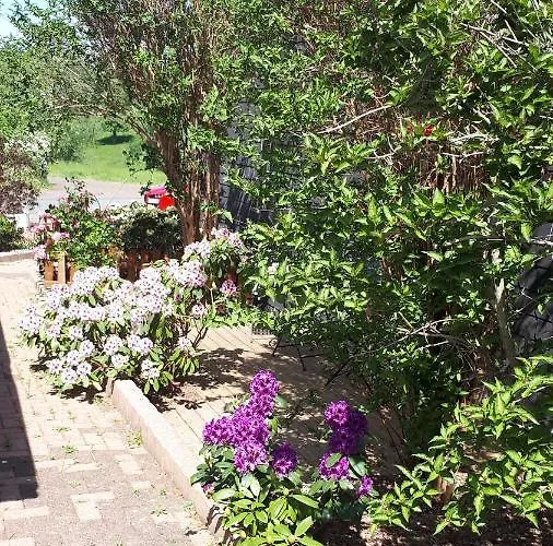 Ferienwohnung 43qm Torf 10 Naehe Moehnesee Villa Warstein