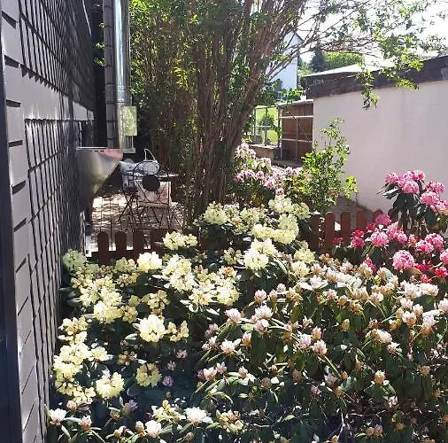 Villa Ferienwohnung 43qm Torf 10 Naehe Moehnesee *