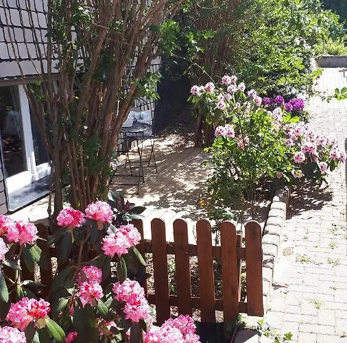 Villa Ferienwohnung 43qm Torf 10 Naehe Moehnesee