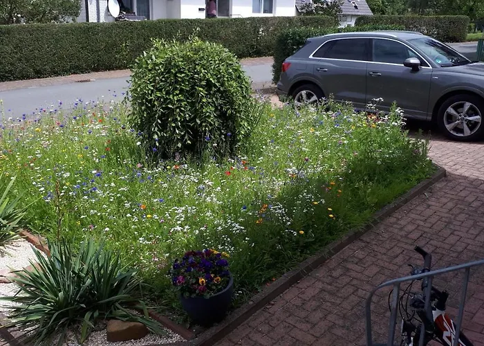 Ferienwohnung 43qm Torf 10 Naehe Moehnesee Villa Warstein